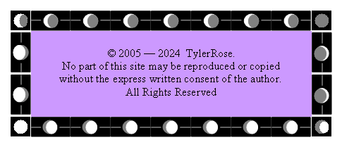 Text Box: � 2005 � 2024  TylerRose. No part of this site may be reproduced or copied without the express written consent of the author.All Rights Reserved